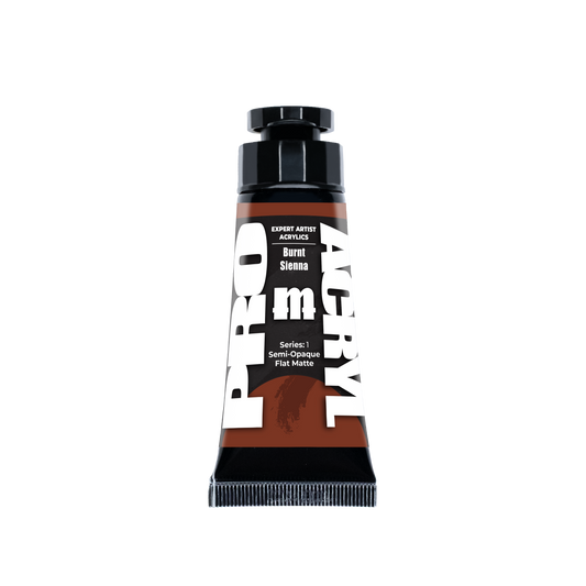 Expert Acrylics 010 - Burnt Sienna